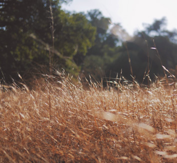 NBA明星球员露面欧洲友谊赛表现抢眼