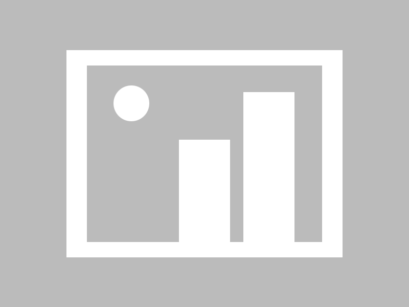 芬兰队成功首次参加欧洲杯